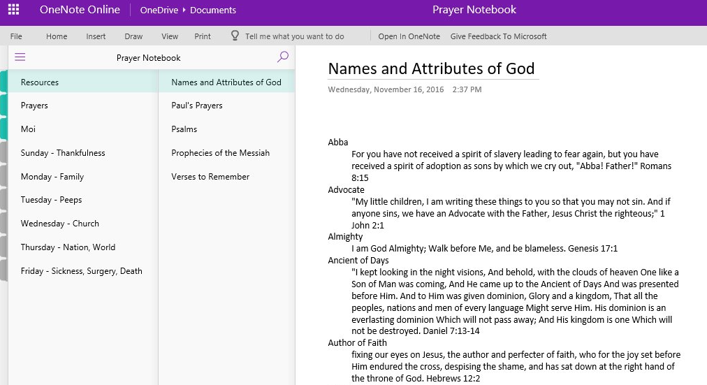 Print Screen of my Prayer Notebook