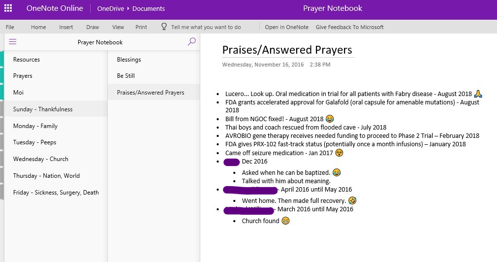 Print Screen of my Prayer Notebook