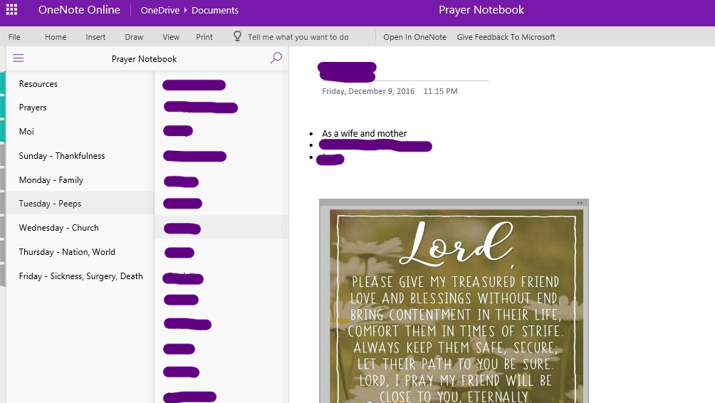 Print Screen of my Prayer Notebook